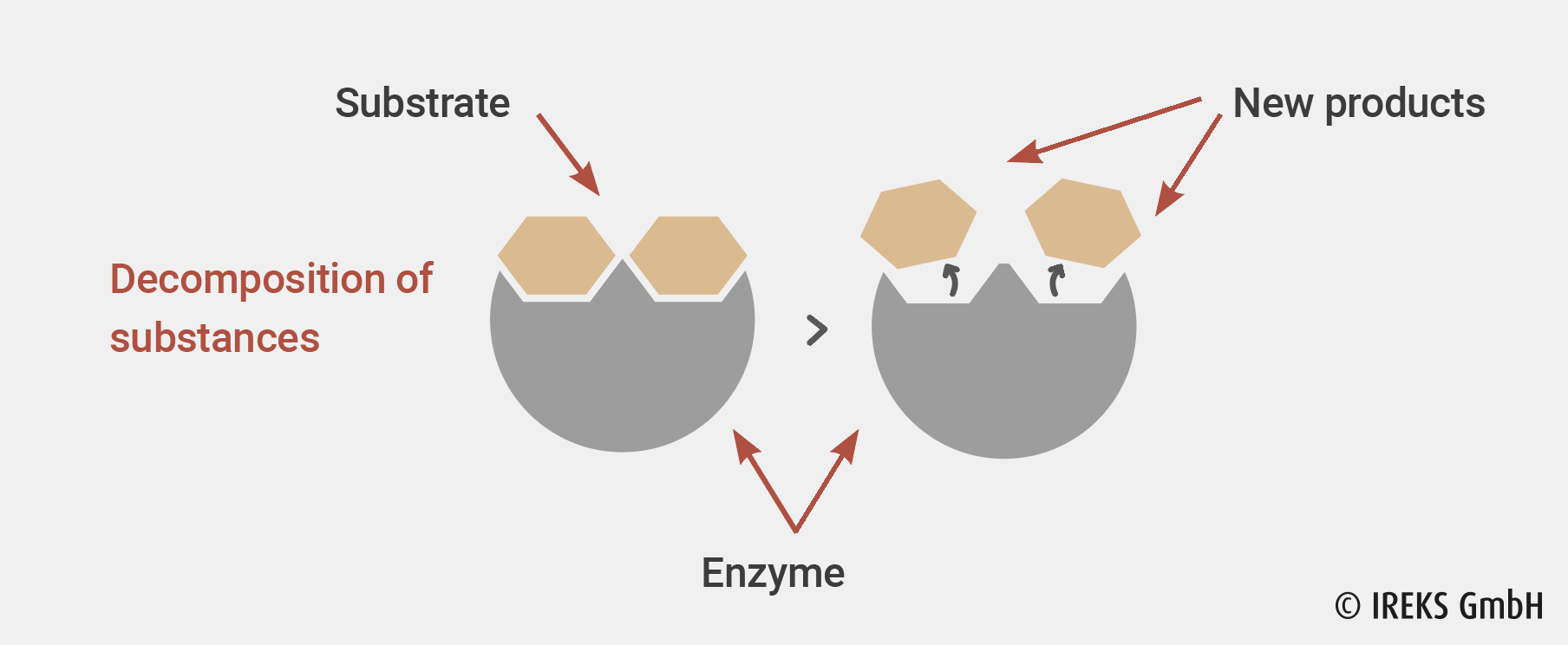 Functional modes of enzymes